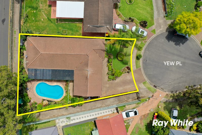 Photo - 16 Yew Place, Quakers Hill NSW 2763 - Image 2