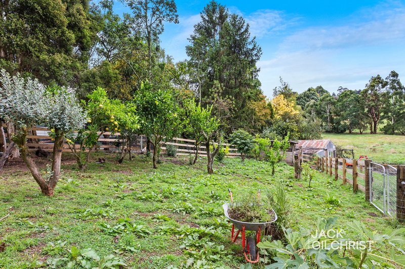 Photo - 160 Bena Road, Korumburra VIC 3950 - Image 20