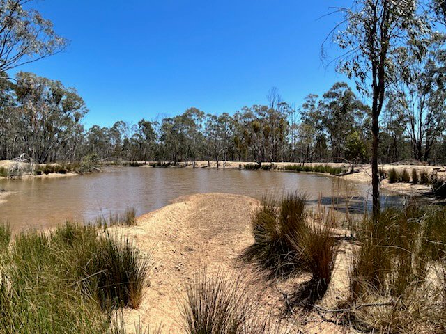 Photo - 160 Brooklyn Road West , Leyburn QLD 4365 - Image 12