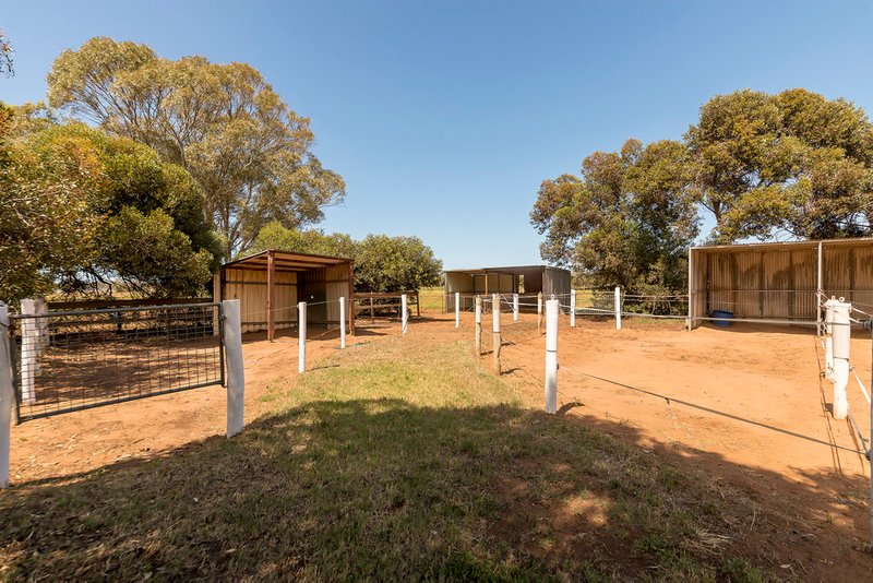 Photo - 160 Brownes Road, Port Gawler SA 5501 - Image 26