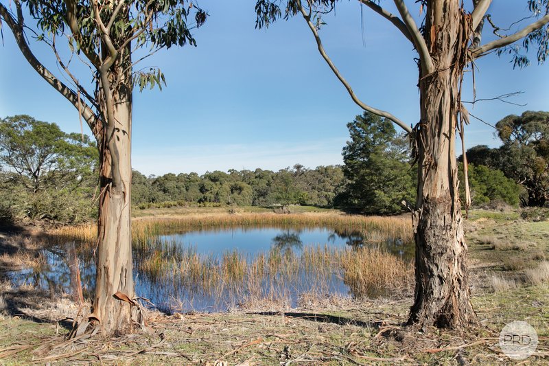 Photo - 160 Bryants Road, Linton VIC 3360 - Image 14