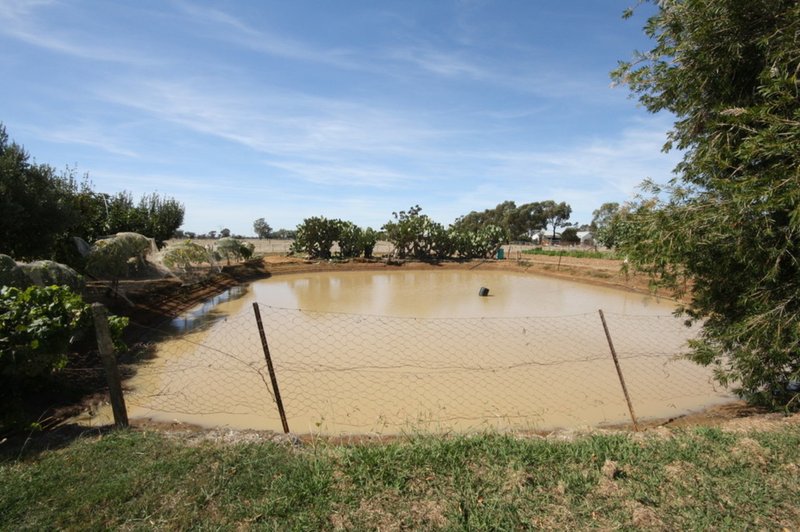 Photo - 160 Mockler Road, Echuca West VIC 3564 - Image 20