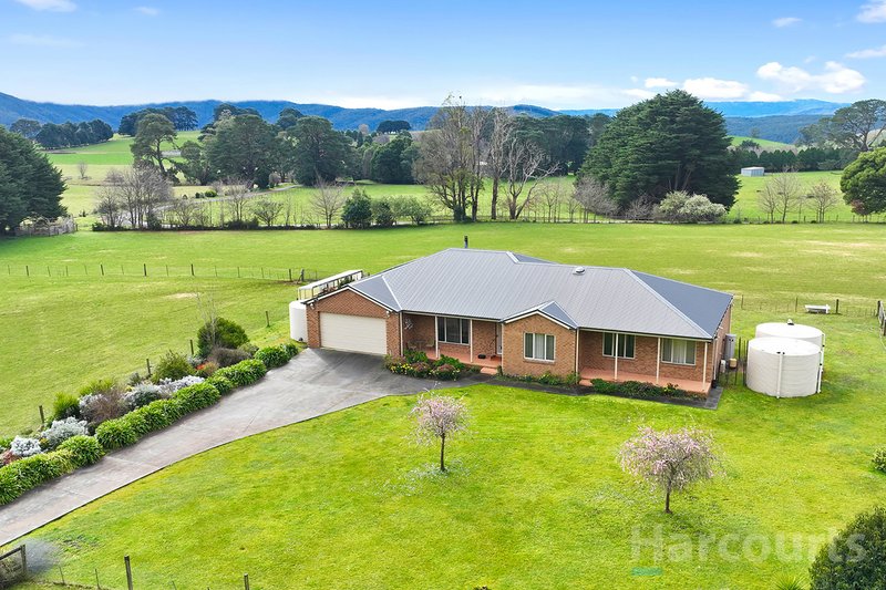 Photo - 160 Nayook-Powelltown Road, Nayook VIC 3832 - Image 23