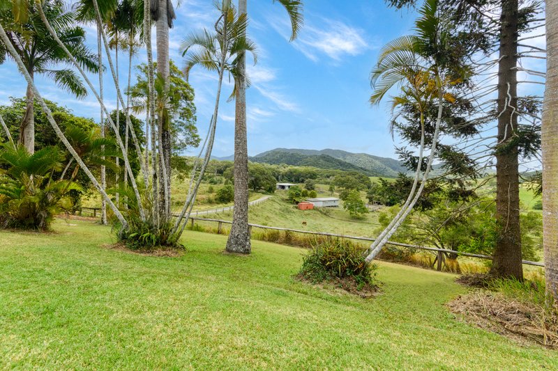 Photo - 1605 Mossman Mount Molloy Road, Julatten QLD 4871 - Image 11