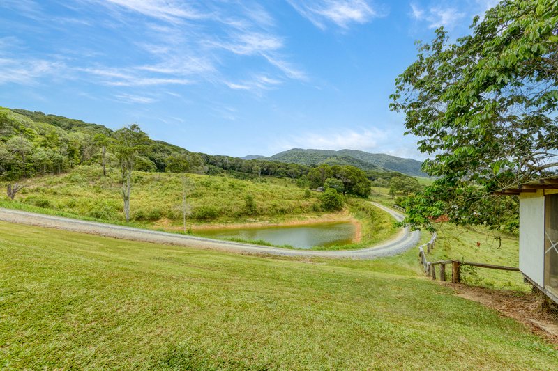 Photo - 1605 Mossman Mount Molloy Road, Julatten QLD 4871 - Image 12