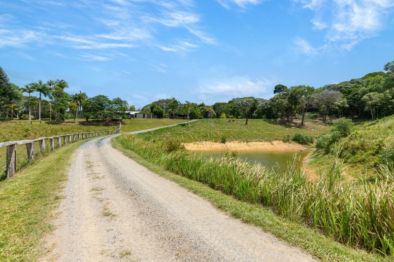 Photo - 1605 Mossman Mount Molloy Road, Julatten QLD 4871 - Image 13