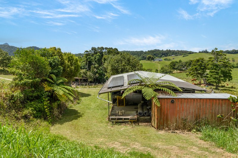 Photo - 1605 Mossman Mount Molloy Road, Julatten QLD 4871 - Image 16