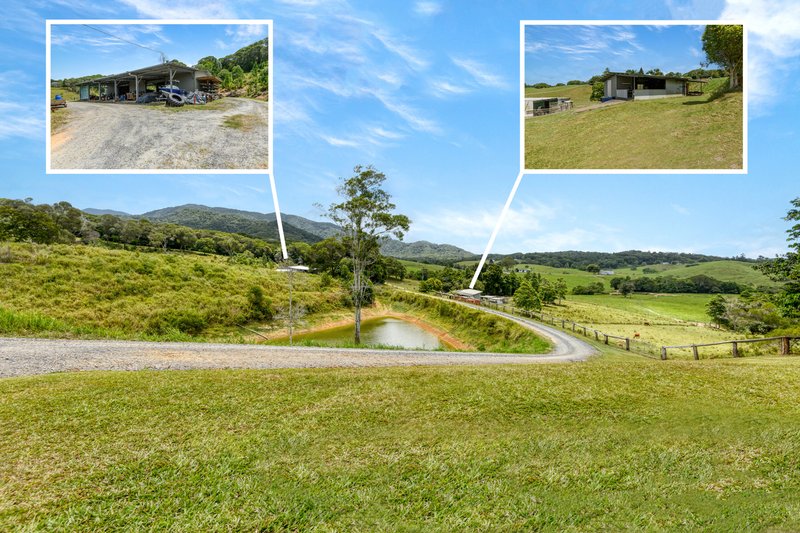 Photo - 1605 Mossman Mount Molloy Road, Julatten QLD 4871 - Image 17