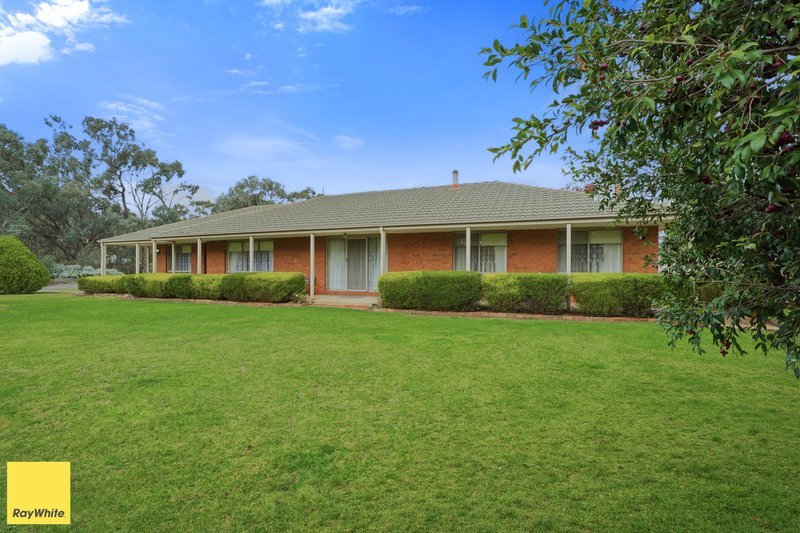 Photo - 1605 River Road, Toolamba VIC 3614 - Image 1