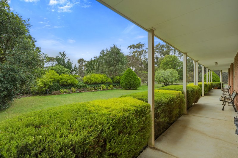 Photo - 1605 River Road, Toolamba VIC 3614 - Image 16