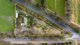 Photo - 1605 River Road, Toolamba VIC 3614 - Image 18