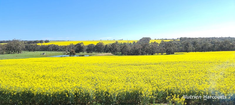 1606 Wingebellup Road, Frankland River WA 6396