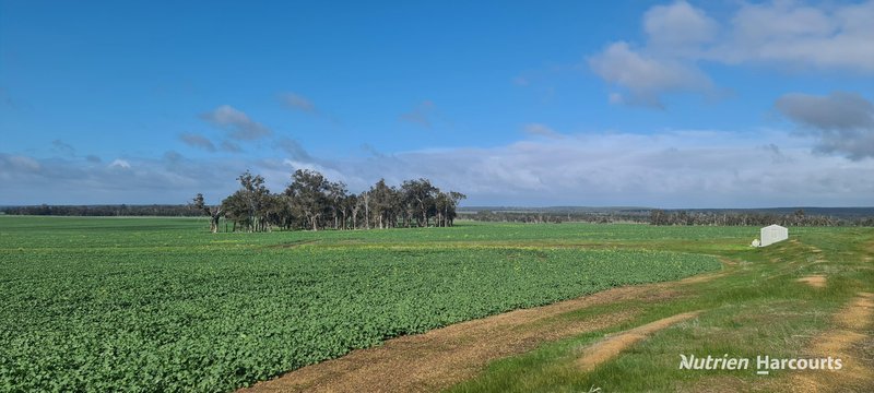 Photo - 1606 Wingebellup Road, Frankland River WA 6396 - Image 3