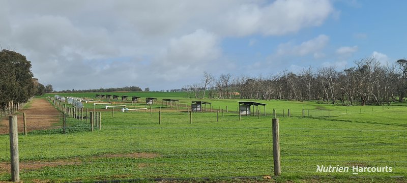 Photo - 1606 Wingebellup Road, Frankland River WA 6396 - Image 6