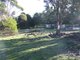 Photo - 1608 Nugent Road, Nugent TAS 7172 - Image 6