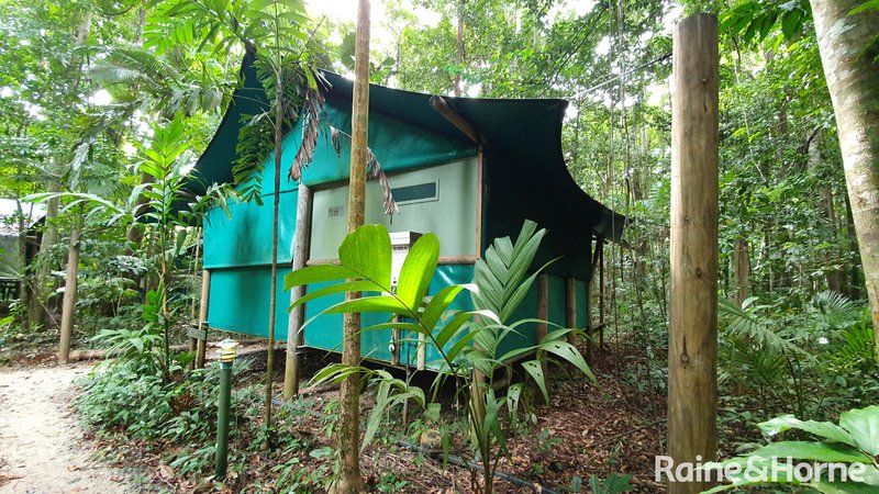 Photo - 161 Buchanan Creek Road, Cow Bay, Daintree QLD 4873 - Image 33