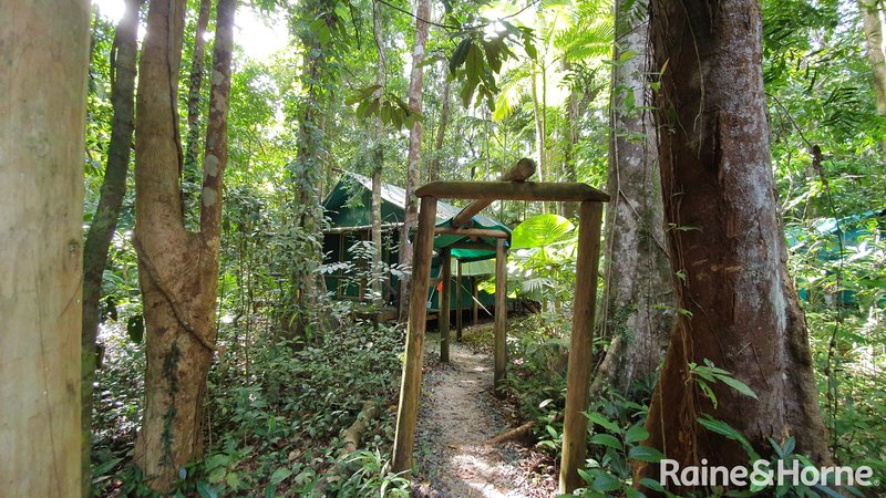 Photo - 161 Buchanan Creek Road, Cow Bay, Daintree QLD 4873 - Image 34