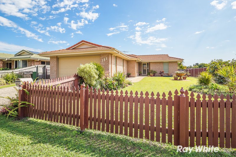 Photo - 161 Cotterill Avenue, Bongaree QLD 4507 - Image 5