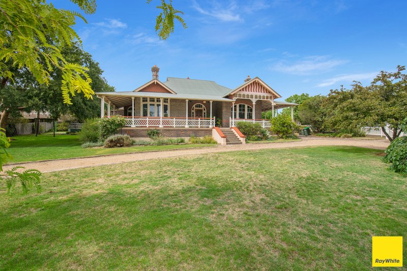 Photo - 161 Dangar Street, Armidale NSW 2350 - Image 12