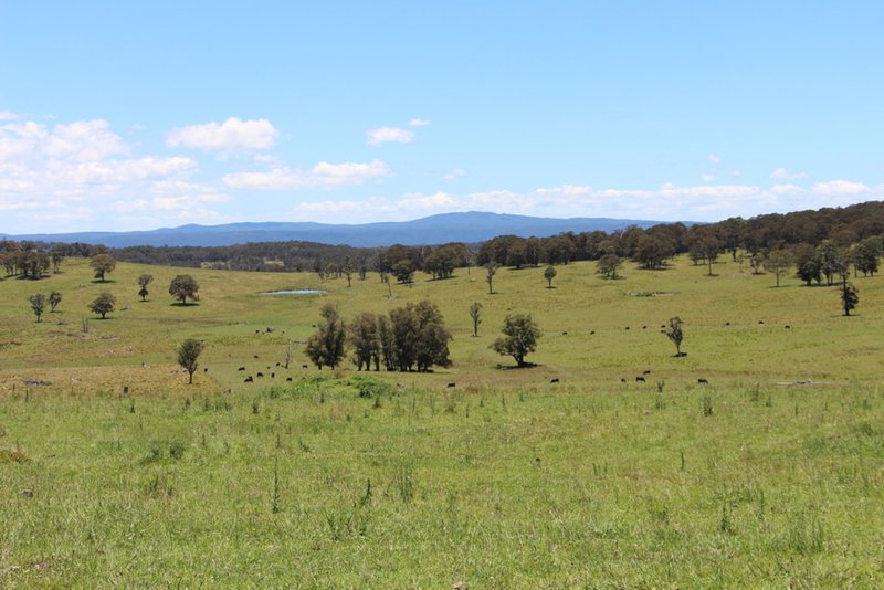 161 "Forest Lodge", Hickey'S Road, Wongwibinda NSW 2350