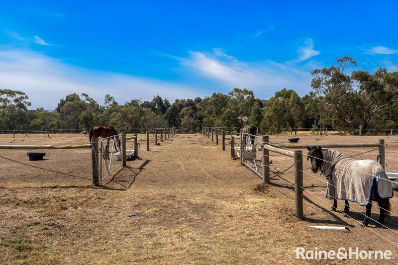 Photo - 161 Sutherlands Road, Riddells Creek VIC 3431 - Image 4