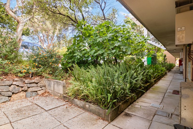 Photo - 1/61 Wright Street, Highgate WA 6003 - Image 16