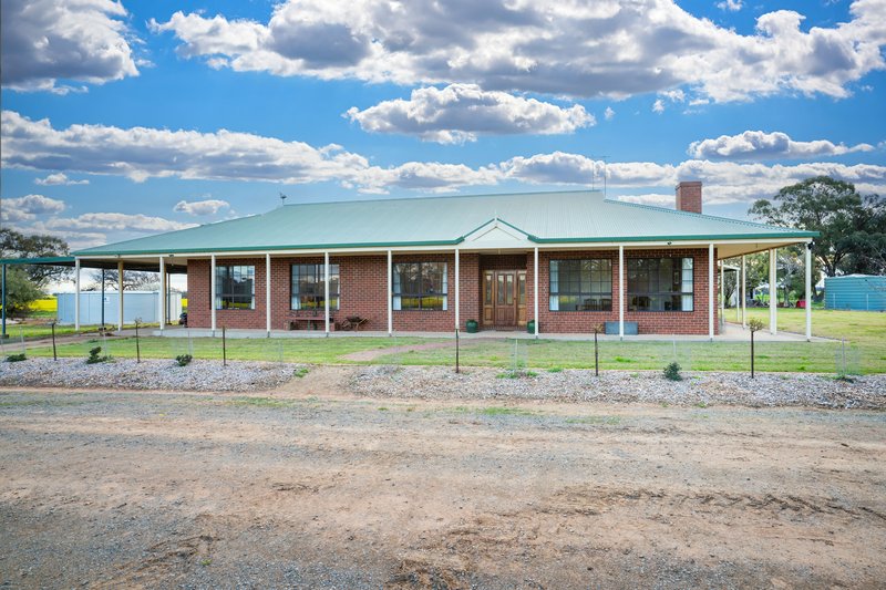 Photo - 1610 Henty Walla Road, Culcairn NSW 2660 - Image 14