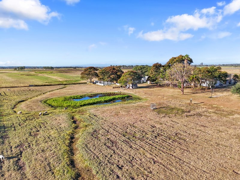 Photo - 162 Mount Tarampa Road, Mount Tarampa QLD 4311 - Image 19