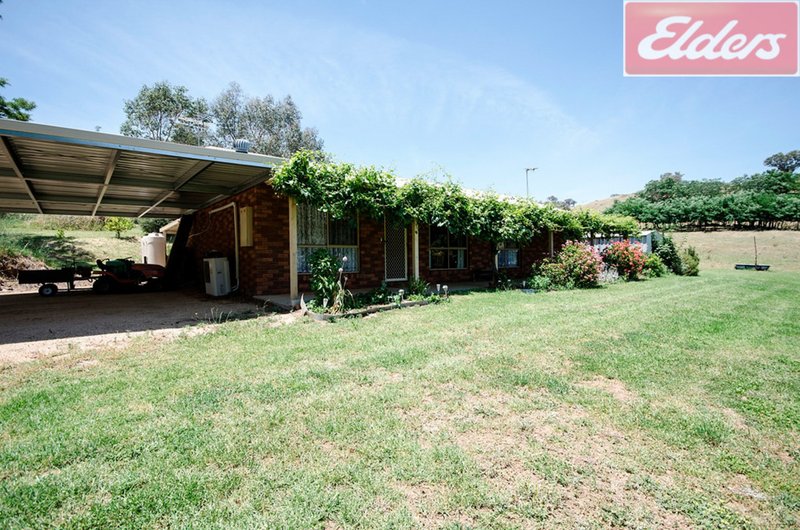 Photo - 162 Talgarno Gap Road, Bethanga VIC 3691 - Image 20