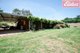 Photo - 162 Talgarno Gap Road, Bethanga VIC 3691 - Image 20