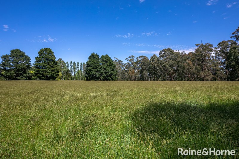 Photo - 162 Waterloo Flat Road, Bullengarook VIC 3437 - Image 19