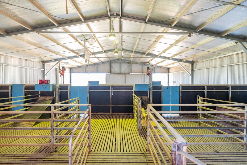 Photo - 1624 Osborne Yerong Creek Road, Yerong Creek NSW 2642 - Image 5