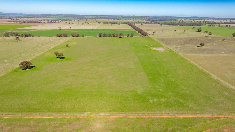 Photo - 1624 Osborne Yerong Creek Road, Yerong Creek NSW 2642 - Image 19