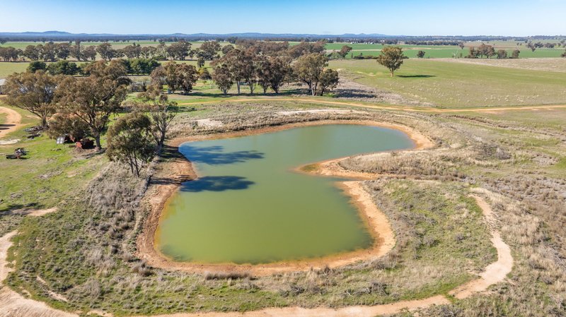 Photo - 1624 Osborne Yerong Creek Road, Yerong Creek NSW 2642 - Image 20