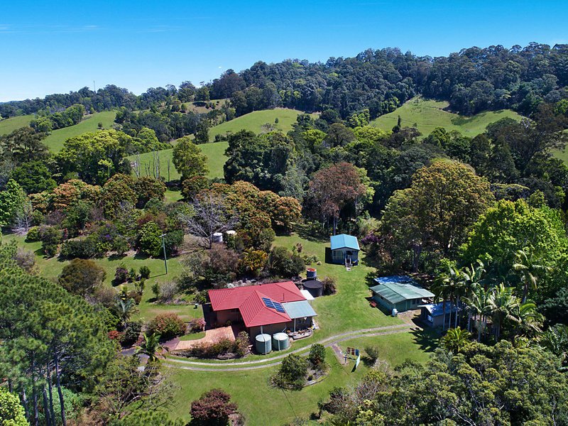 Photo - 163 Blakeneys Road, Stokers Siding NSW 2484 - Image 3