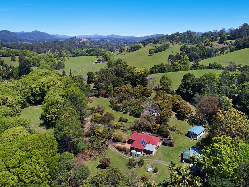 Photo - 163 Blakeneys Road, Stokers Siding NSW 2484 - Image 4