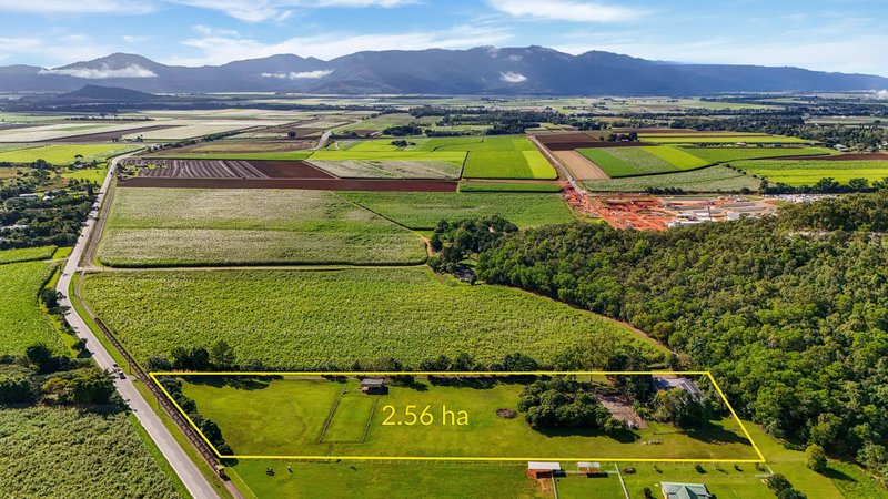 Photo - 163 Maitland Road, Gordonvale QLD 4865 - Image 11