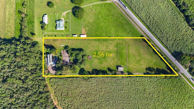 Photo - 163 Maitland Road, Gordonvale QLD 4865 - Image 21