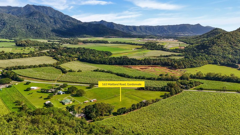 Photo - 163 Maitland Road, Gordonvale QLD 4865 - Image 23