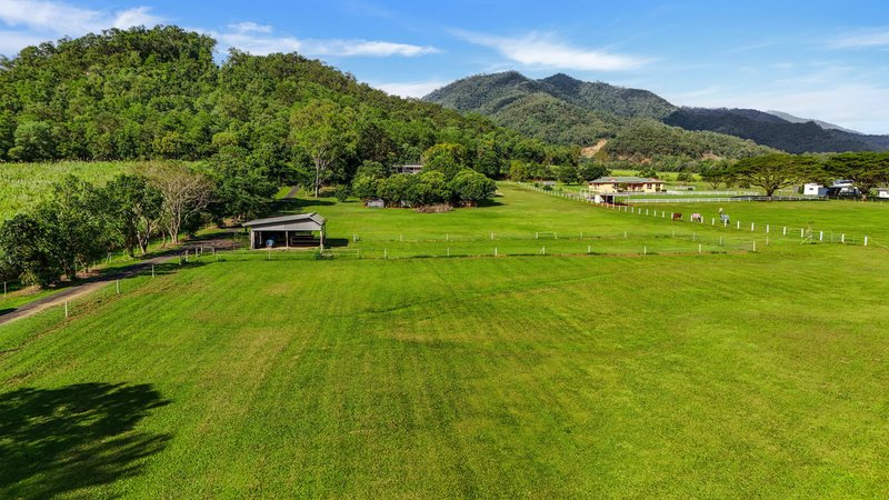 Photo - 163 Maitland Road, Gordonvale QLD 4865 - Image 25
