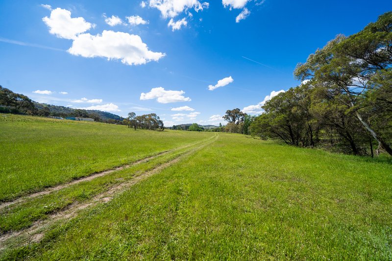 Photo - 163 Naylor Road, Urila NSW 2620 - Image 3