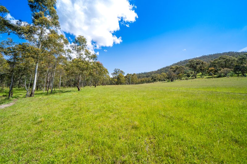 Photo - 163 Naylor Road, Urila NSW 2620 - Image 4