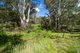 Photo - 163 Naylor Road, Urila NSW 2620 - Image 24