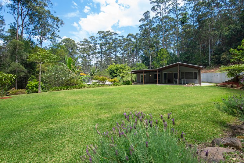 Photo - 163 North Road, Lower Beechmont QLD 4211 - Image 4