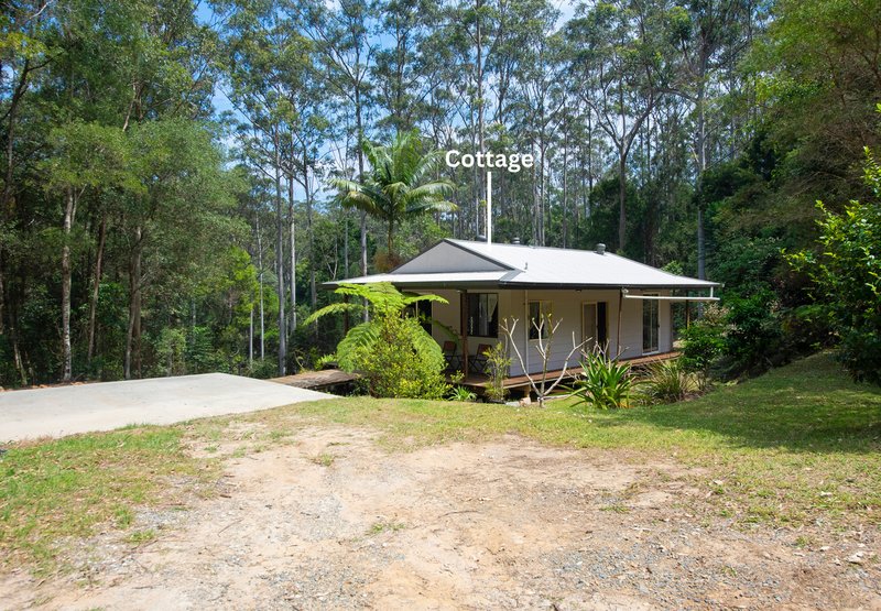 Photo - 163 North Road, Lower Beechmont QLD 4211 - Image 15