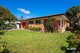 Photo - 163 Vulcan Street, Moruya NSW 2537 - Image 1