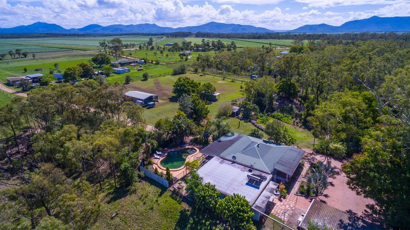 Photo - 1634 Crystalbrook Road, Crystal Brook QLD 4800 - Image 24