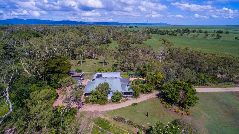 Photo - 1634 Crystalbrook Road, Crystal Brook QLD 4800 - Image 25