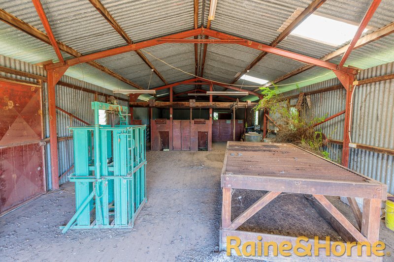 Photo - 1638 & 2012 Piambra Road, Neilrex NSW 2831 - Image 20