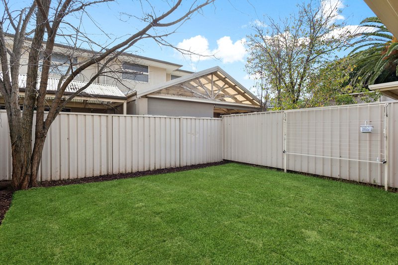 Photo - 164 Cliff Street, Glengowrie SA 5044 - Image 17